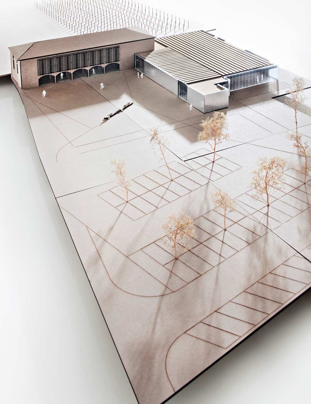 consorzio franciacorta pasini martinoli