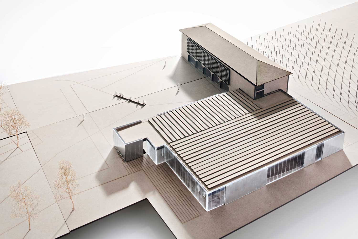 modelli architettura pasini martinoli